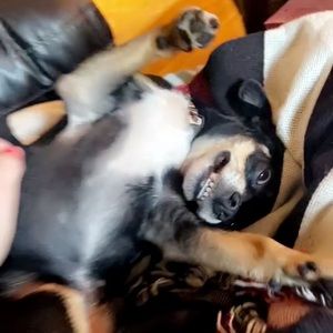 Meet your Posher, Megan